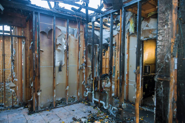 Professional Fire Damage Removal technician working in Johnson, AR